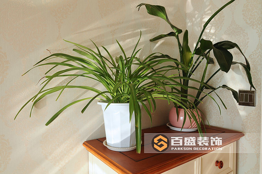 公园一号