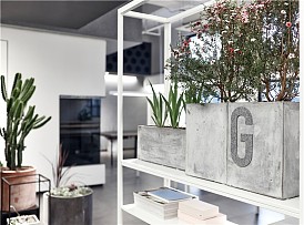 上海RIGI工作室之大廳綠植裝飾效果圖