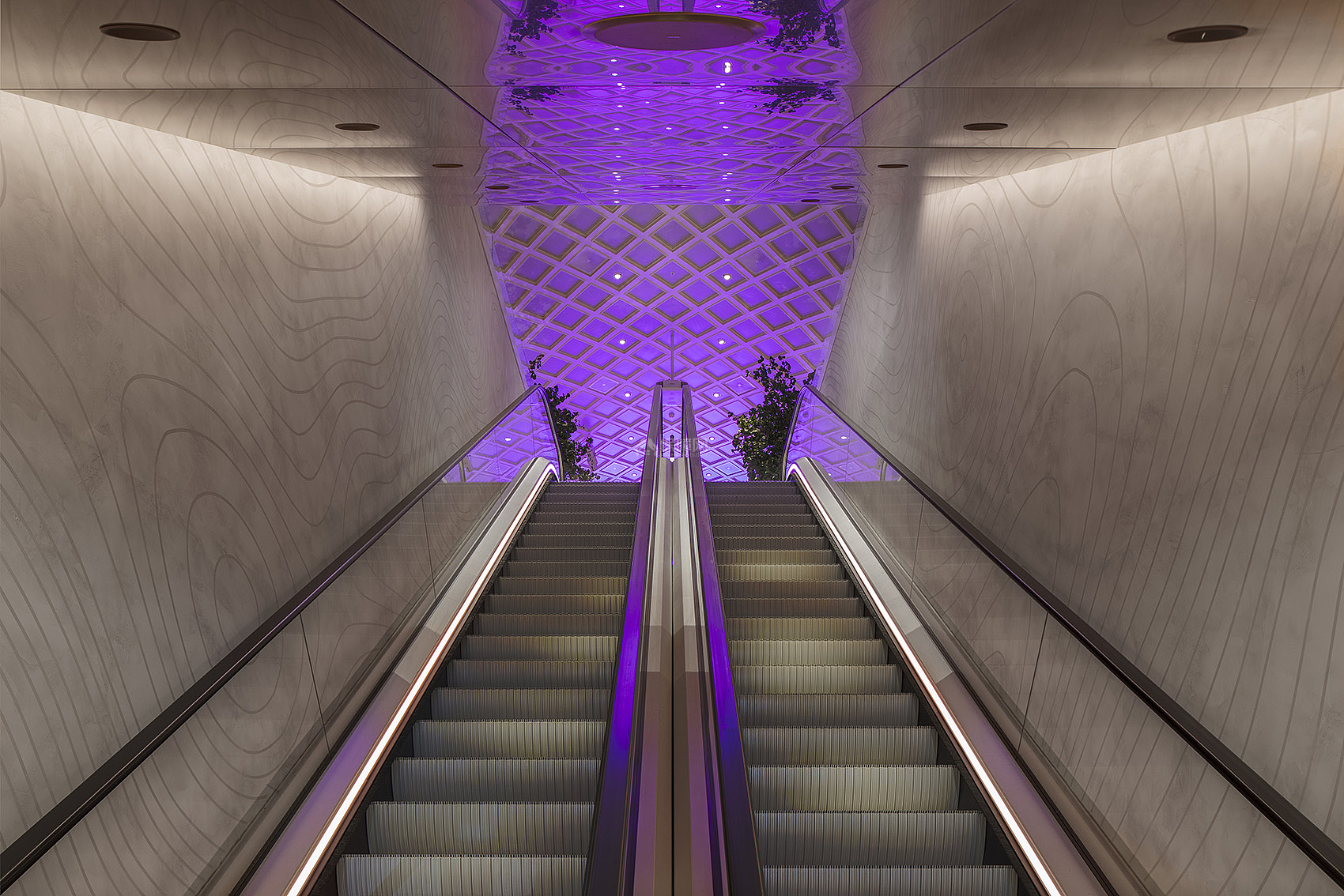 斯堪迪克Norge酒店之电梯设计效果图