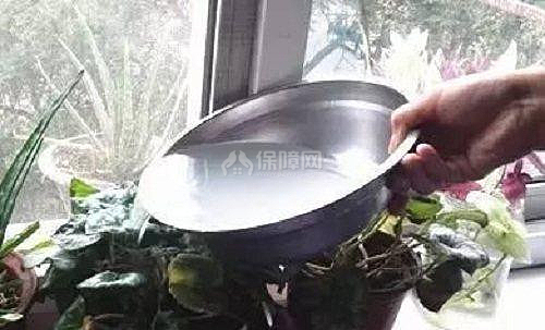 如何养花室内盆花