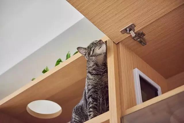 书房