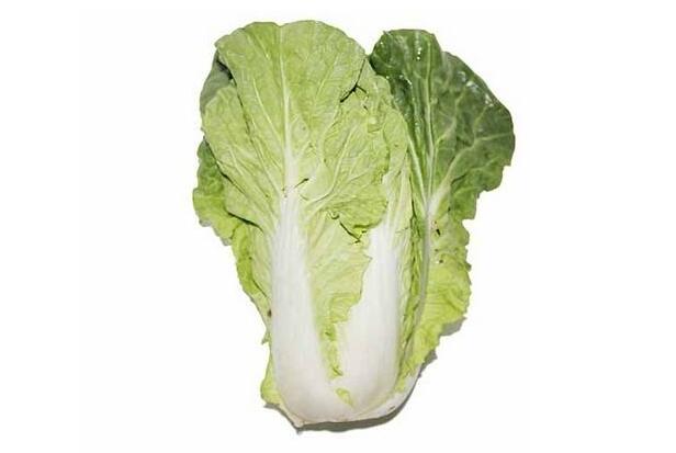 【图】水白菜的做法 水白菜图片