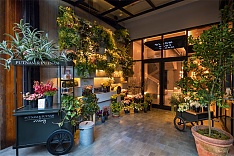 Moxy Chelsea hotel入門(mén)處植物擺放