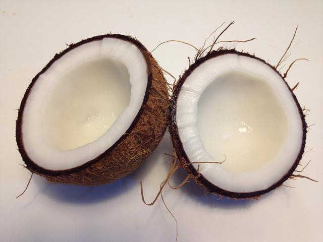 椰子内部结构图片