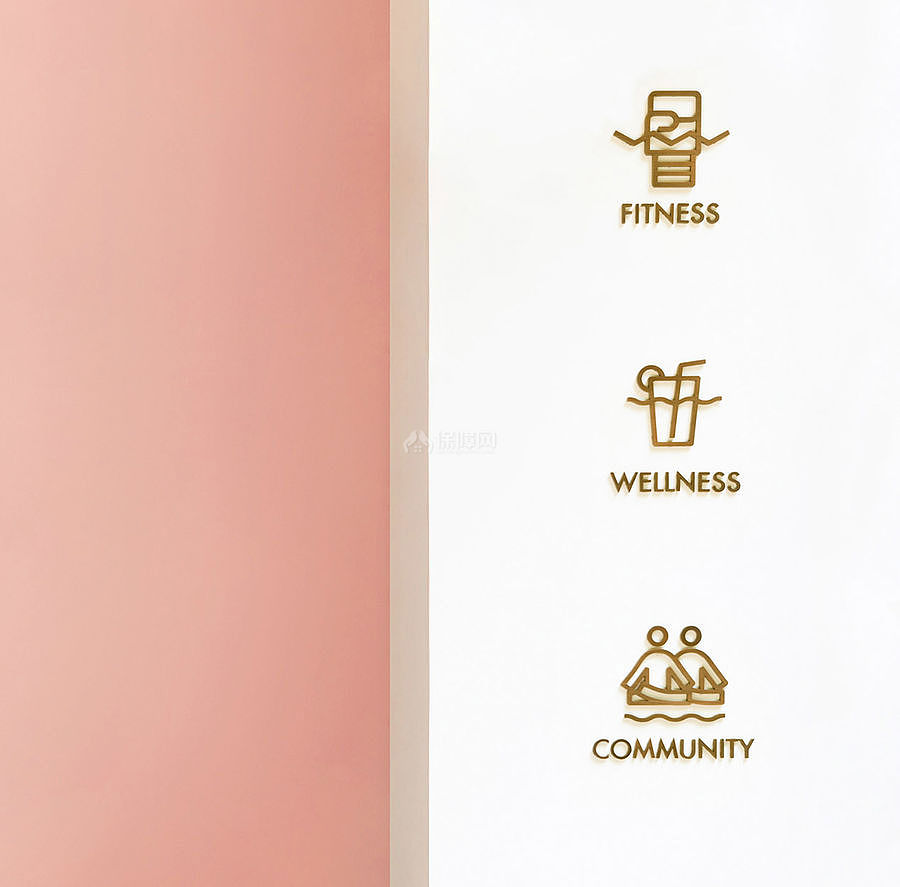 VIS女性健身會(huì)所之logo設(shè)計(jì)效果圖