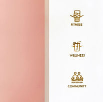 VIS女性健身会所之logo设计效果图