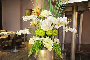珠海音樂餐廳之裝飾綠植細(xì)節(jié)圖