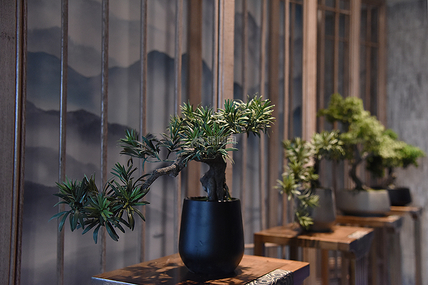 野妹經(jīng)典火鍋店之綠植裝飾效果圖