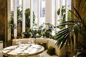 法国菜餐厅绿植装饰效果图