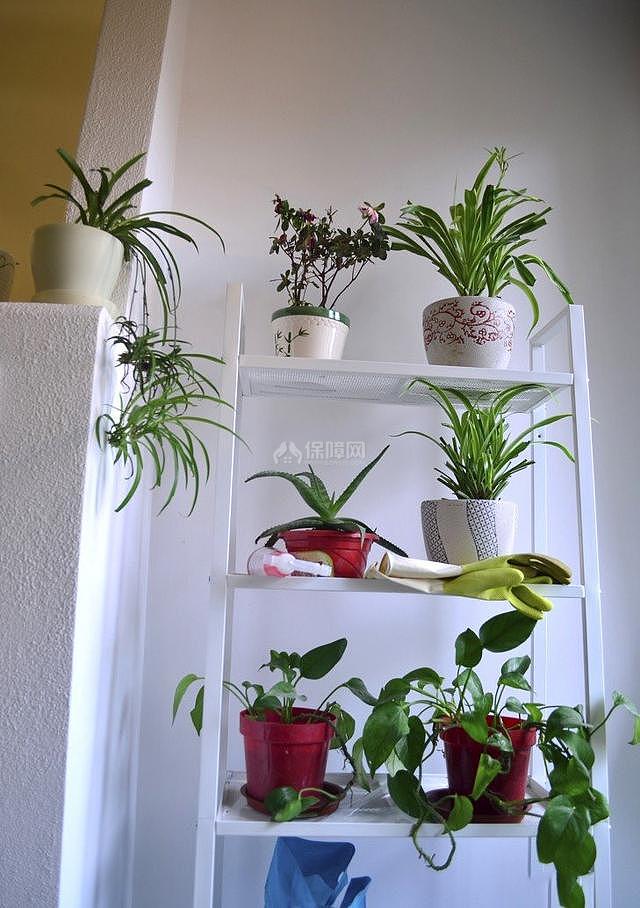 80㎡地中海風(fēng)陽(yáng)臺(tái)綠植擺放