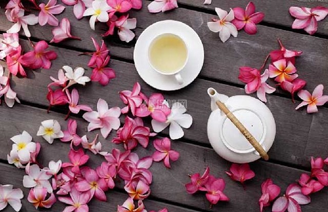 茶树、茶树花、茶花、花茶的区别 