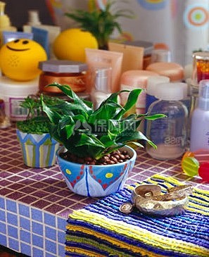 DIY手绘花盆,DIY手绘花盆效果图,家居DIY