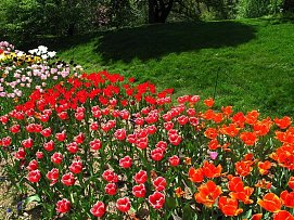 植物公園設(shè)計(jì)效果圖