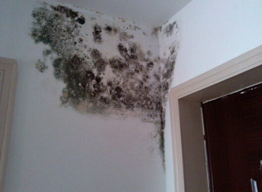 接下来,小编就来介绍一下房间潮湿怎么办,房间潮湿发霉的解决办法.