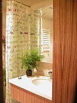 东南亚风格卫生间浴室镜装修图片