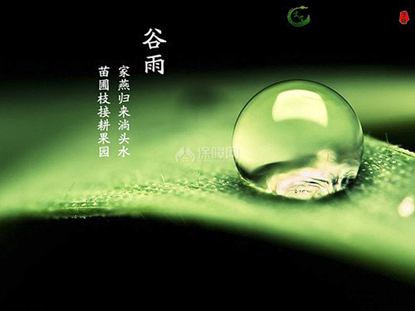 谷雨是什么意思