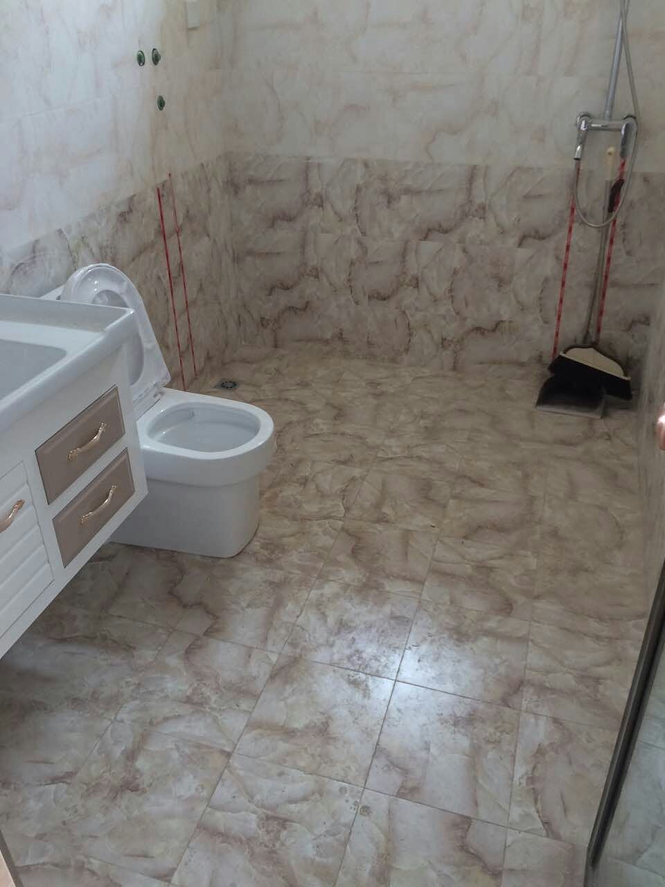 高陵  大唐一号