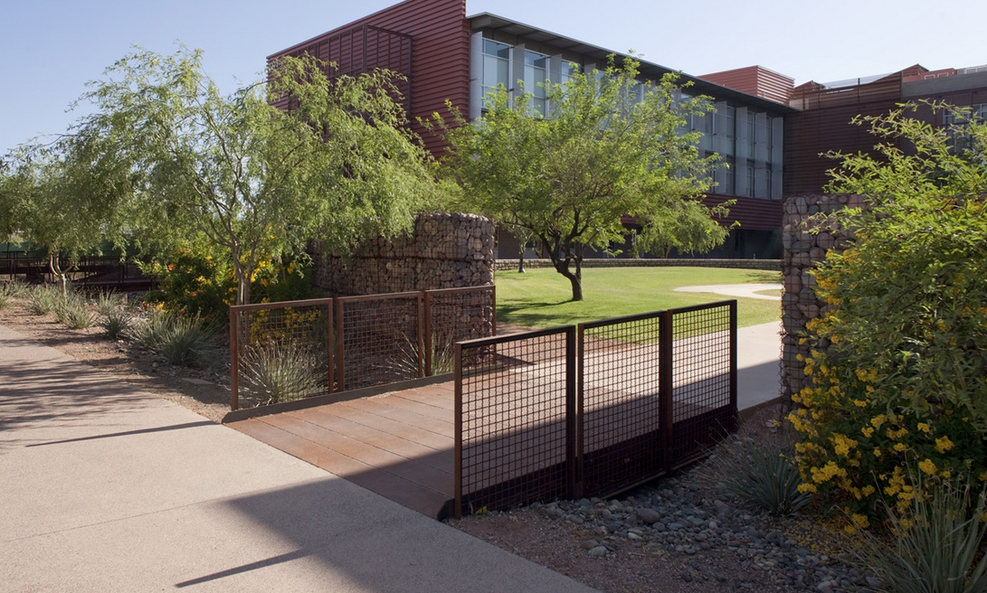 校园景观 campus landscape design