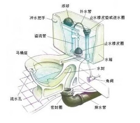 抽水马桶出水阀结构图图片